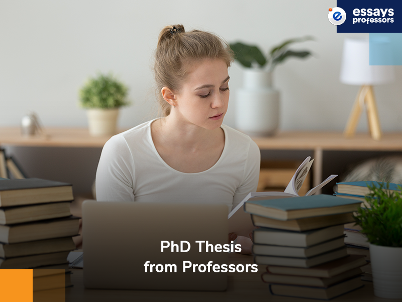 PhD thesis from Professors